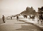Lake Shore Drive horse and carriage, Lincoln Park, Chicago