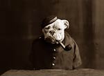 Tommy Atkins Dog in uniform with pipe 1905.