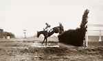 Wilmerding jockey jumping hedge 1909