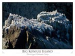 Big Koniuji Island bird cliffs