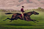 Jockey on running horse 1879