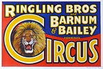 Ringling Bros. and Barnum & Bailey combined Circus, Lion Poster