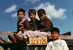 Boys sitting on truck, labor camp Robstown Texas 1942