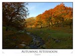 Autumnal Afternoon