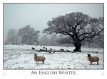 An English Winter