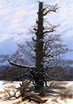 Oak tree in the snow Caspar David Friedrich