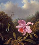 Fighting Hummingbirds with Pink Orchid Martin Johnson Heade