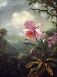 Hummingbird Perched on an Orchid Plant Martin Heade