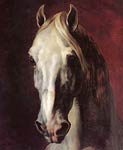 Head of a white horse Theodore Gericault