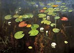 Water Lilies Isaak Levitan