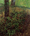 Undergrowth Vincent Van Gogh
