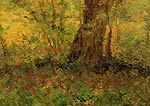 undergrowth Van Gogh