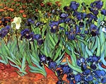 Irises 1889 Van Gogh