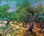Olive Grove 1889 Van Gogh
