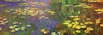 Nympheas water plants Claude Monet