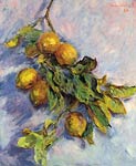 Lemons on a Branch Monet
