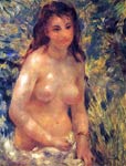 Zorso of a young woman in the sun Pierre-Auguste Renoir