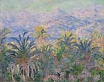 Palm trees at bordighera 1884