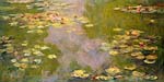 Water lilies 1919
