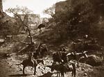 Group of Navajos in Tesakod Canyon on horseback