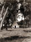 Tepee in a grove of trees, 1910