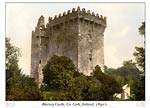 Blarney Castle. Co. Cork, Ireland