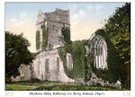 Muckross Abbey, Killarney, Co. Kenny, Ireland