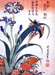 Kingfisher With Irises And Wild Pinks Katsushika Hokusai