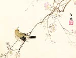 Japanese Cherry blossoms and a Nightingale Bunrei Maekawa