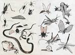Spiders, snake, toads and ants Katsushika Hokusai