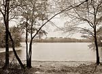 Henry David Thoreau's Cove, Walden Pond 1908