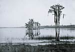 Lake Louise near Seville Florida 19th century
