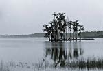 Lake Louise Seville Florida 1880's