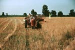 Harvesting oats by tractor, southeastern Georgia 1940