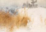 Winter landscape with hare