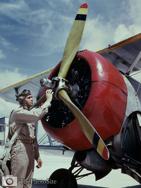 Grumman F3F-2 and cadet, 1942 - Click Image to Close