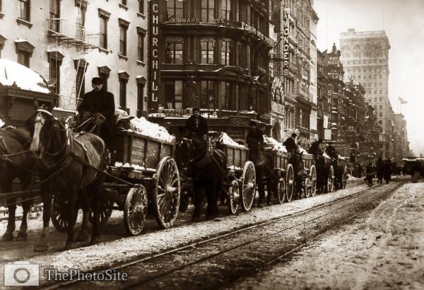 Horse-Drawn Wagons removing snow in New York City - Click Image to Close