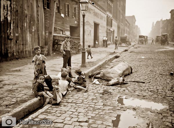 Dead horse, cobbled street, children playing in New York - Click Image to Close
