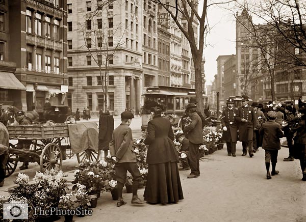 Street peddler flower seller New York 1904 - Click Image to Close
