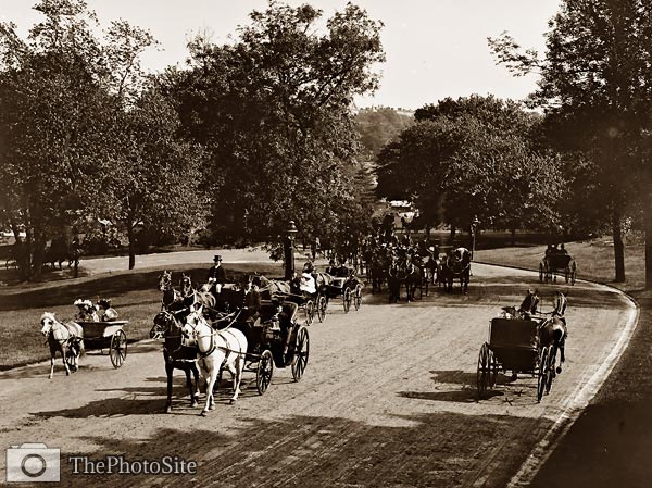 Horse carriage and coach NY central park 1905 - Click Image to Close