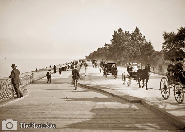 Lake Shore Drive horse and carriage, Lincoln Park, Chicago - Click Image to Close