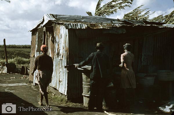 Tin shack, African American workers Florida 1941 - Click Image to Close