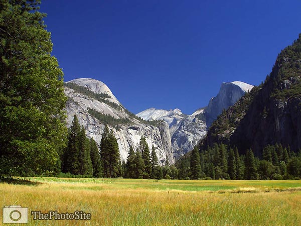 Half Dome, Yosemite Park, California - Click Image to Close