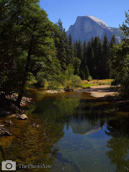 Half Dome, Merced River, Yosemite Park - Click Image to Close