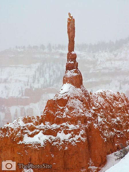 Spire in Bryce Canyon near Sunset Point - Click Image to Close
