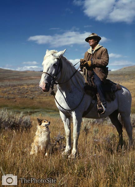 Shepherd with his horse and dog, 1942 - Click Image to Close