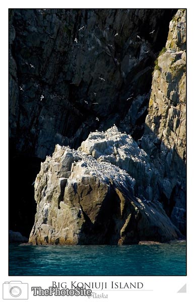 Big Koniuji Island bird cliffs - Click Image to Close