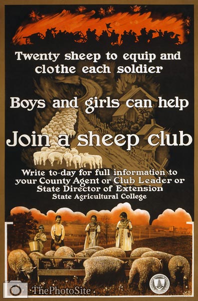 Join a sheep club war poster - Click Image to Close