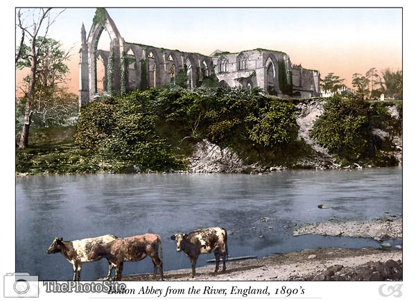 Bolton Abbey from the river, England - Click Image to Close