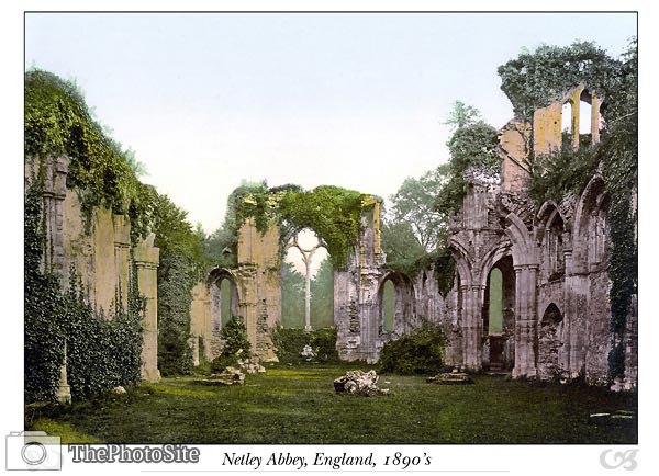 Netley Abbey (interior), England - Click Image to Close